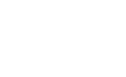 Figee logo